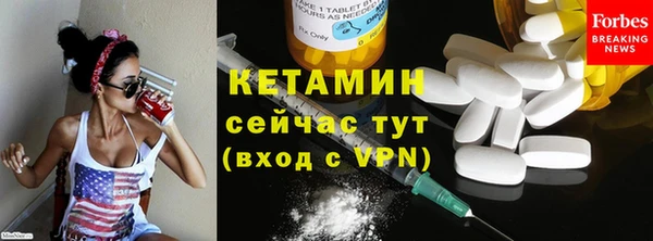 прущие грибы Горнозаводск