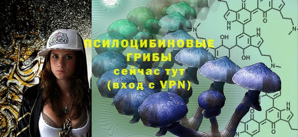 прущие грибы Горнозаводск