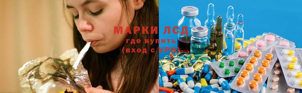 прущие грибы Горнозаводск