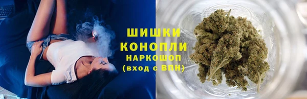 прущие грибы Горнозаводск