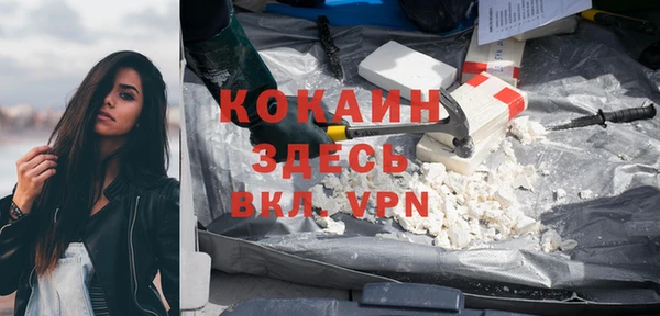 прущие грибы Горнозаводск