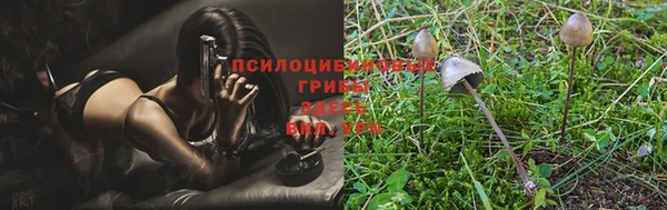 герыч Горно-Алтайск