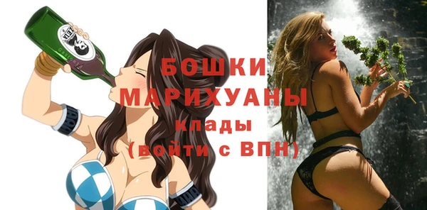 прущие грибы Горнозаводск