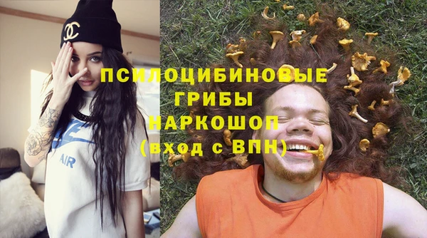 прущие грибы Горнозаводск
