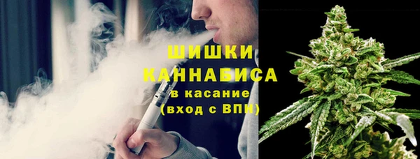 прущие грибы Горнозаводск