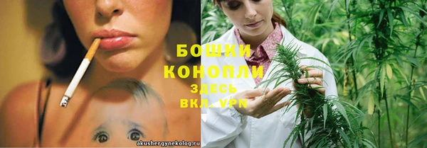 прущие грибы Горнозаводск