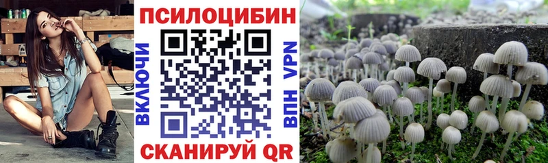 Купить где  Новодвинск  Галлюциногенные грибы мицелий 